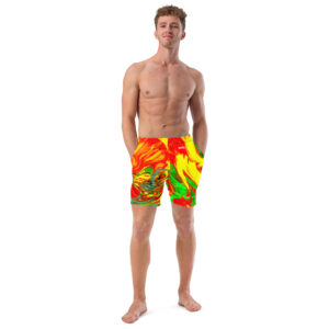 Swim Trunks Qvacky Model 273F