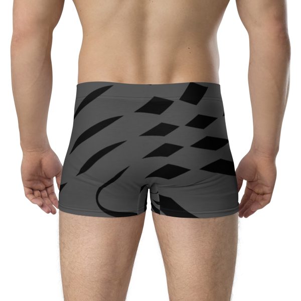Boxer Briefs Qvacky Model 534F - Image 2