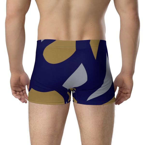 Boxer Briefs Qvacky Model 535F - Image 3